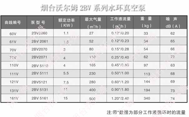 2BV系列液環真空泵型號參數