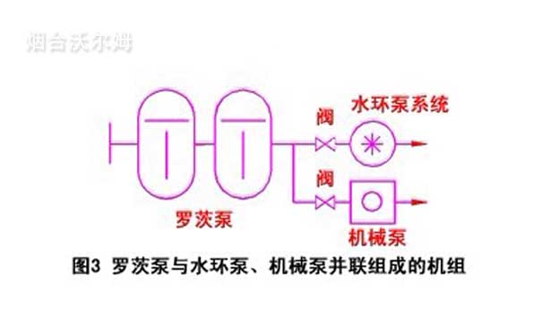 羅茨泵與水環(huán)泵、機械泵并聯(lián)組成的機組